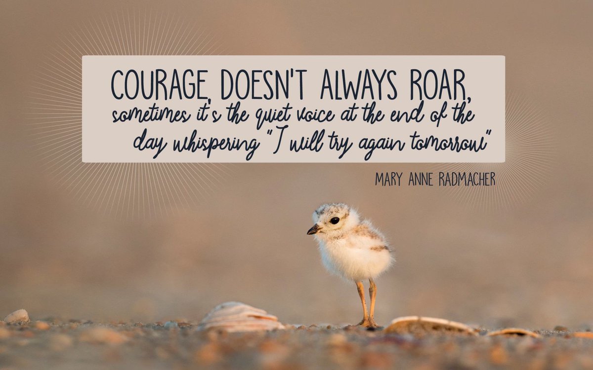 Paulapef (@paulathepef) on Twitter photo Failure only happens when you give up! Debrief, talk, ask, grow, develop and try again #courageous <a href="/MFT_PRET/">MFT Pre-Reg Education Team</a> <a href="/Preceptorship1/">MFT Precept_rship</a> Failure only happens when you give up! Debrief, talk, ask, grow, develop and try again #courageous <a href="/MFT_PRET/">MFT Pre-Reg Education Team</a> <a href="/Preceptorship1/">MFT Precept_rship</a>
