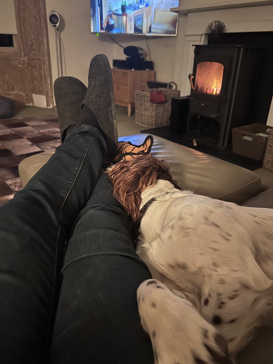 chump_dog's tweet photo. Having consumed considerable off cuts of Wagyu, I have now retired to the front room. https://t.co/Ps5JcqODHm