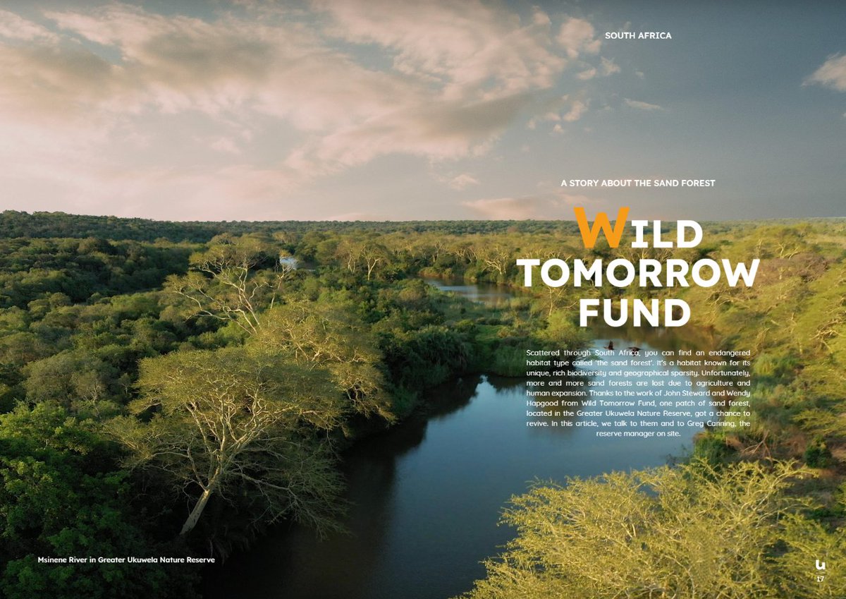 wildtomorrow's tweet photo. We shared our story with #UbuntuMagazine and were pleased to be featured in Issue 3 of their online #magazine!💚 Check out pages 16-17 to read about our #sandforest and what we are doing to protect this #criticallyendangered #habitat! https://t.co/cXR0Vhp0Oj https://t.co/Sif6uruN3Y