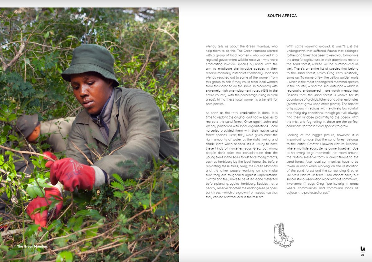 wildtomorrow's tweet photo. We shared our story with #UbuntuMagazine and were pleased to be featured in Issue 3 of their online #magazine!💚 Check out pages 16-17 to read about our #sandforest and what we are doing to protect this #criticallyendangered #habitat! https://t.co/cXR0Vhp0Oj https://t.co/Sif6uruN3Y