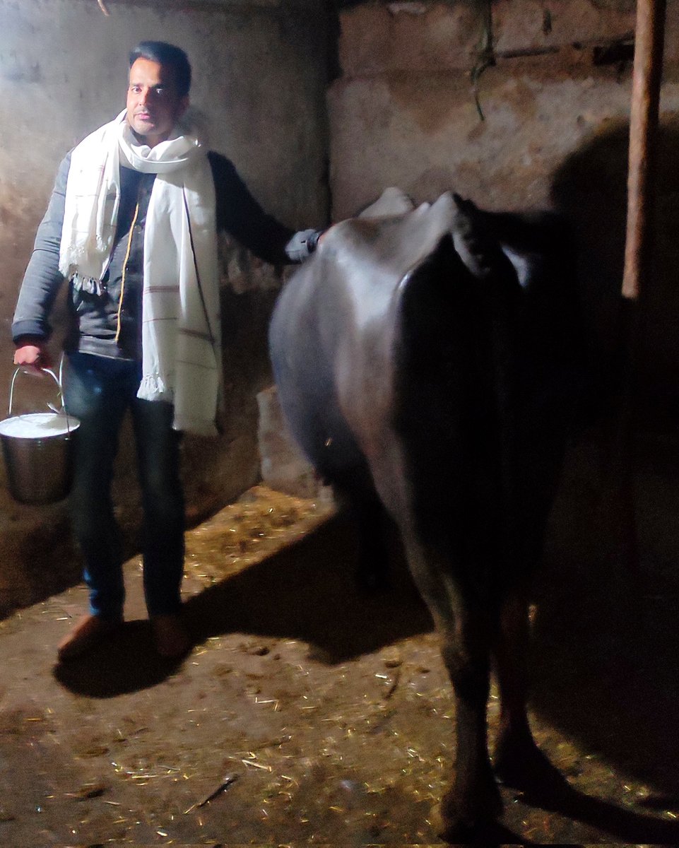 saleemCh_Jk12's tweet photo. Alhamdulillah Ajkal Puro 10 litre deh li.
#Bepure 🐃🐃 https://t.co/ECPSVWwU5R