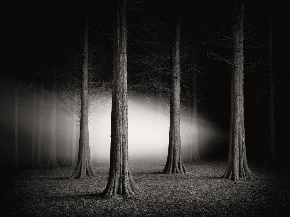 ForteanLondon's tweet photo. Timings for #TheHauntedLandscape @ConwayHall and online tomorrow. 
Join us for ghosts, monsters, devils, and pixies.
https://t.co/s2LHjhlcLH
9amRegistration starts. 
9.30amDoors
10amJasper Goodall - Into the Wild Night https://t.co/fAhwcbKPDU