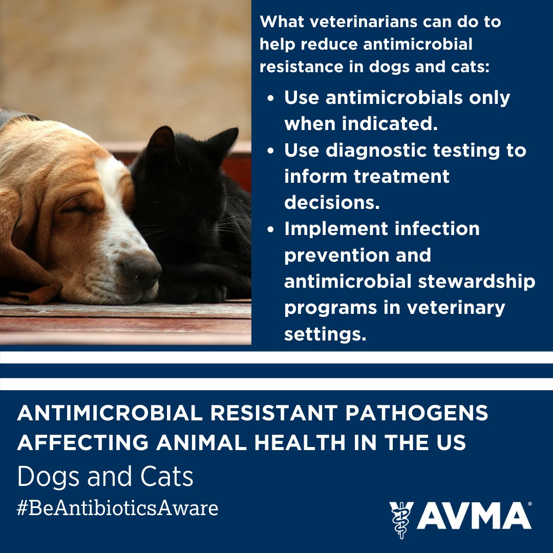 Tweet by AVMA (American Veterinary Medical Association)