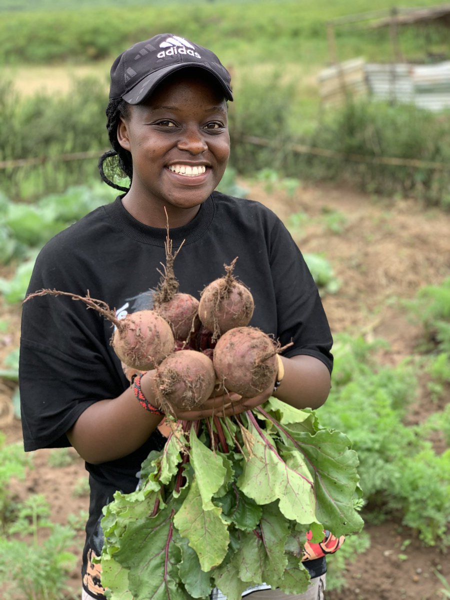 SangwaSifa's tweet photo. A well spent weekend at Walker farm in organic vegetable garden fertilized by Black soldier flies compost. 

We are following up to see the results. 
📸: @Ndi_Walker https://t.co/3xCsE2ymV1