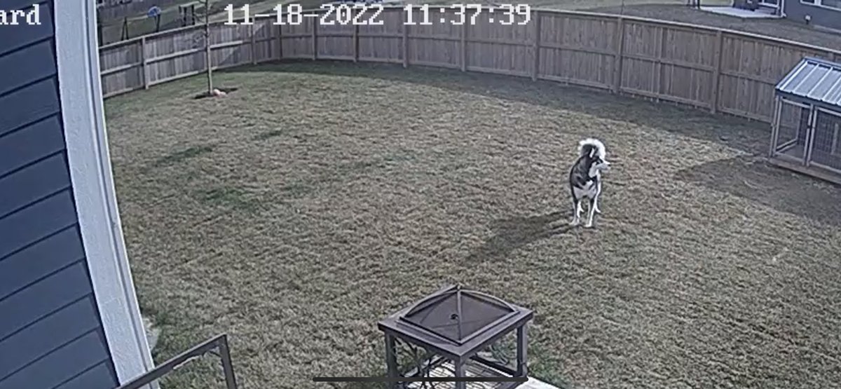 Just enjoying the weather. Nothing like a ice cold breeze blowing in my hair 🥶