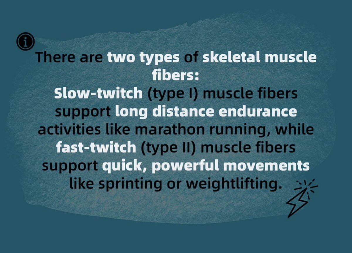 ReachBodywork's tweet image. #FunFactFriday