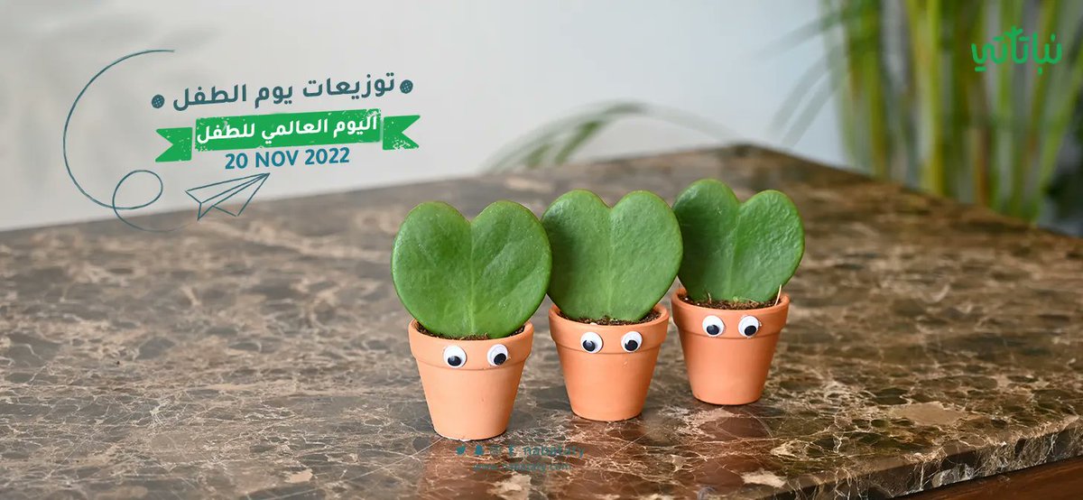 نباتاتي tweet media