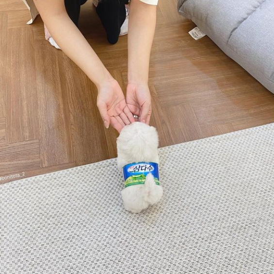 lovx11_very's tweet image. 올 겨울 옷 삼다수라길래 뭔소린데? 하고 본 사진..