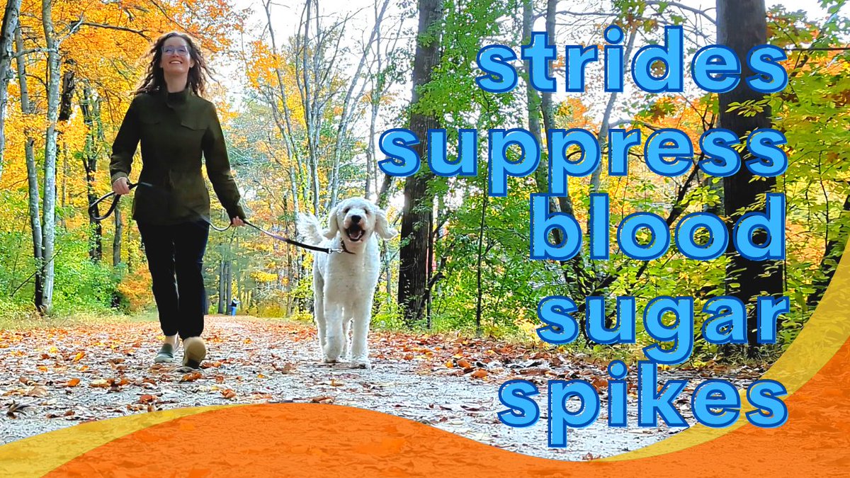 If someone has ever told you that walking isn't good enough exercise, send this video to them and wait for them to give you a “touché.” youtu.be/PIDoAZu7H5g #walking #nutrition #healthy #metabolichealth