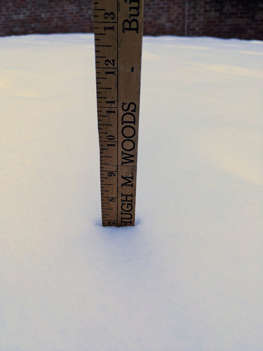 Ashley Gaulding tweet media