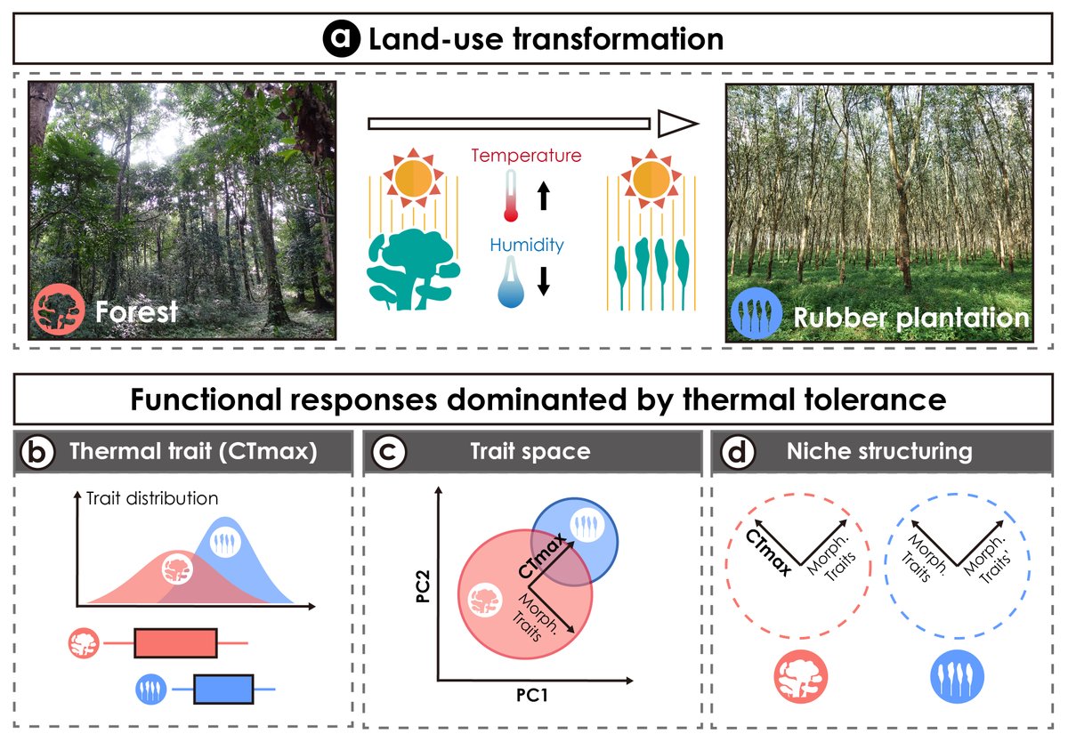 Runxi WANG 王润玺 tweet media