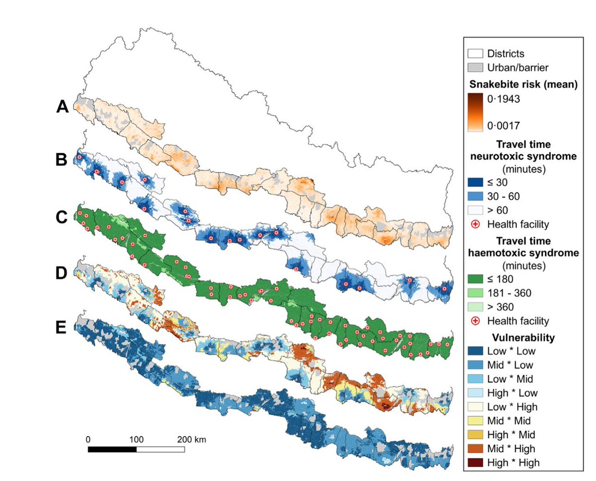 Nicolas Ray (@nicolasray7) on Twitter photo Our new paper is out in
<a href="/LancetRH_SEAsia/">The Lancet Reg Health-Southeast Asia</a>: first high-resolution map of access to antivenom and vulnerability to #SnakeBite envenoming. 2.07 mio. people highly vulnerable in Nepal.
doi.org/10.1016/j.lans…
@unige_ise <a href="/ISG_UNIGE/">ISG</a> <a href="/UNIGEnews/">Université de Genève</a> Our new paper is out in
<a href="/LancetRH_SEAsia/">The Lancet Reg Health-Southeast Asia</a>: first high-resolution map of access to antivenom and vulnerability to #SnakeBite envenoming. 2.07 mio. people highly vulnerable in Nepal.
doi.org/10.1016/j.lans…
@unige_ise <a href="/ISG_UNIGE/">ISG</a> <a href="/UNIGEnews/">Université de Genève</a>