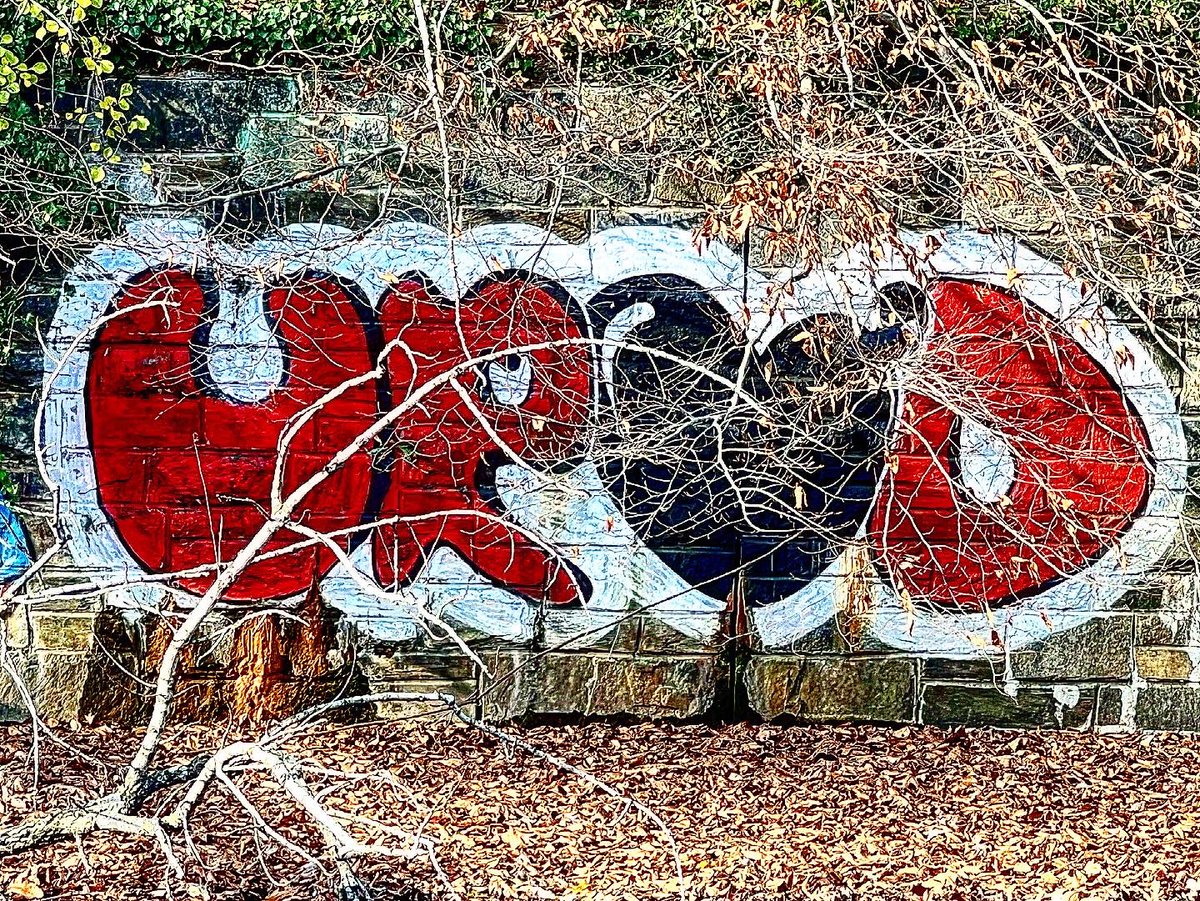 _EDw0rd_'s tweet photo. Some random shots from my walk around #RockCreekPark the other day ~ 😼🚷🚷🚷😼
#local #dc #streetart #graffiti #art #mural #wallart #tags #artistsoninstagram #catseye2thecosmos #artlovers #adventures #walking #breathing #living #noregrets https://t.co/vFsbwMEKlI
