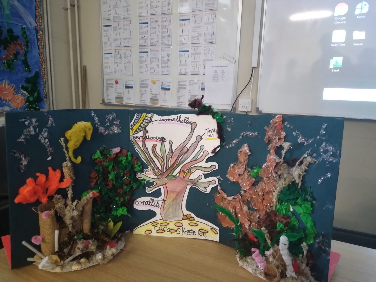 sea_synergy's tweet photo. We joined St Teresa's NS for their fantastic Deep Sea Science Fair and enjoyed a mix of presentations, artwork and poetry about hydrothermal vents, deep sea coral reefs and bioluminescence.
@MarineInst @explorersedu
#OceanChampionsAward #DeepSeaScience #ScienceWeek https://t.co/glSgFt6FtX