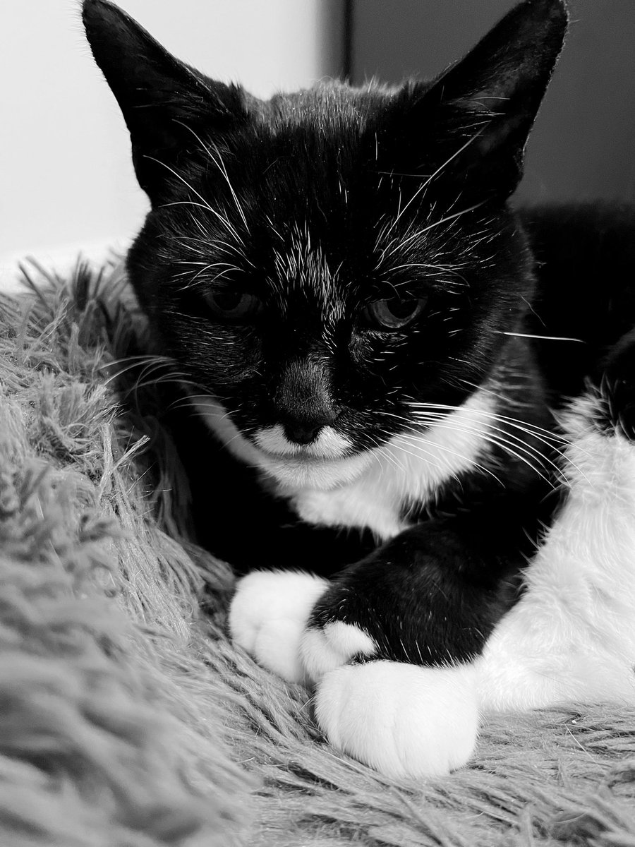 Rachel Corsini tweet media