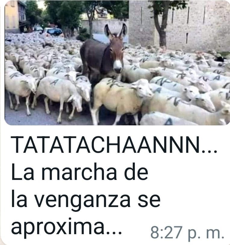 PedroFerriz's tweet photo. https://t.co/yKZEuuEZuf