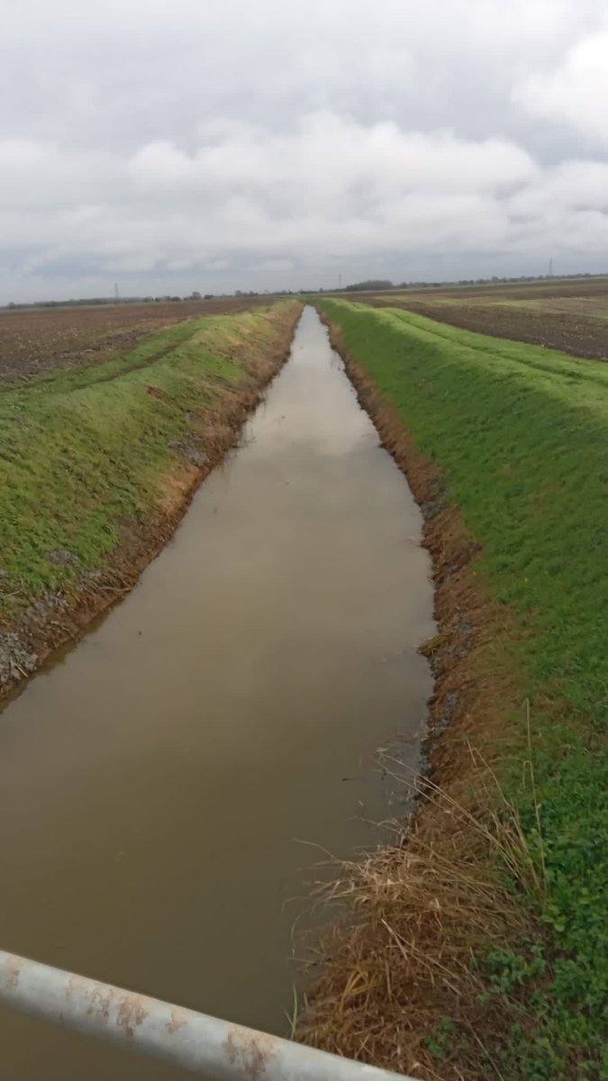 The Fen Group Ltd tweet media