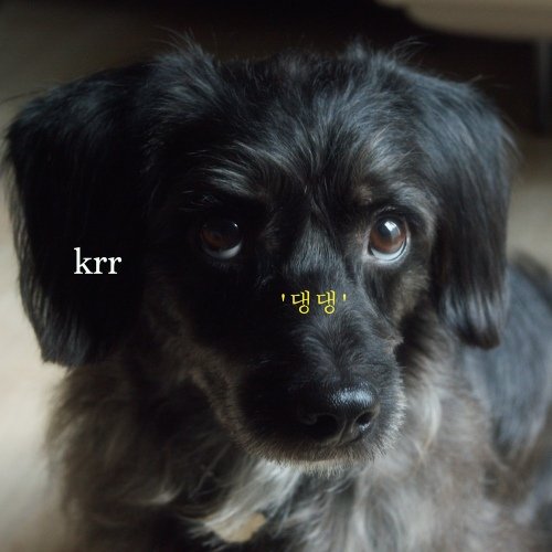 3일 동안 극심한 자살 충동에 시달리다가
안정을 찾고 끄적끄적 적어보아요.
깊은 곳에서부터 나오는 눈물을 쏟아냈고 상담전화로 도움받았습니다.

이 귀엽고 따순 감정을, 혼자만 느끼기엔
아까워서 올립니다. ♡٩(❛ัᴗ❛ั ๑)

크르르의 '댕댕'이라는 곡입니다. ◡̈  ༘ *