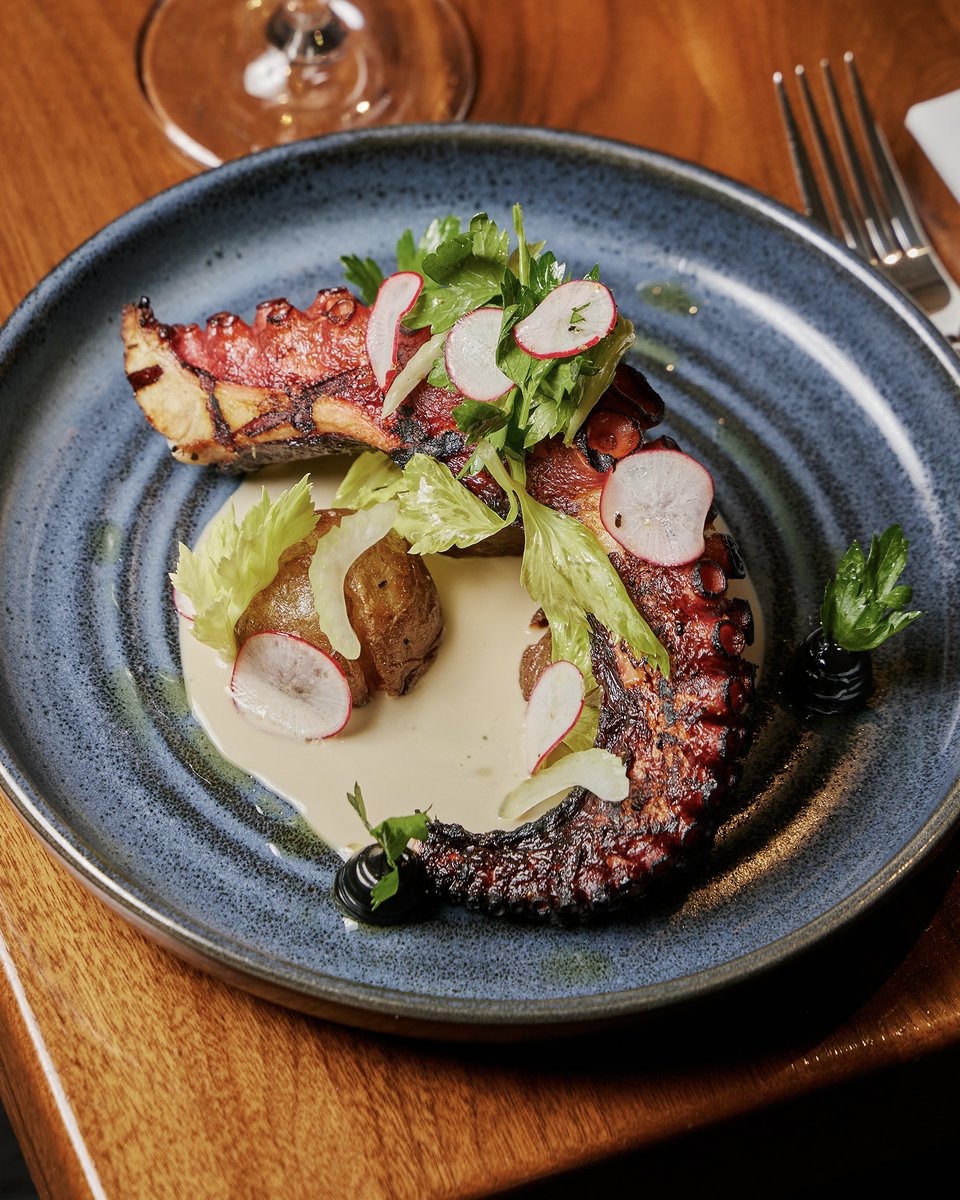 StregaItaliano's tweet photo. It's time to relax and enjoy the weekend! Join us tonight and be sure to try the octopus...grilled to perfection, served with crispy baby potatoes with tonnato sauce and squid ink aioli.

📸 Brian Samuels Photography

https://t.co/FirrtiQZh3 https://t.co/Yjb2ZoeNuj