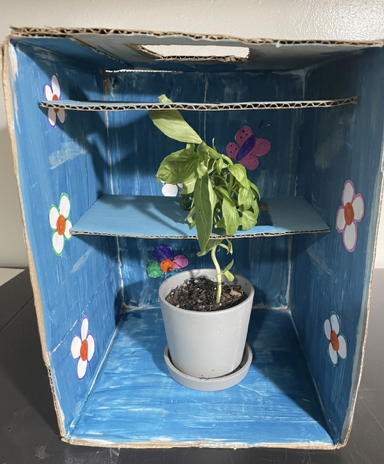 Children's Museum of Discovery tweet media