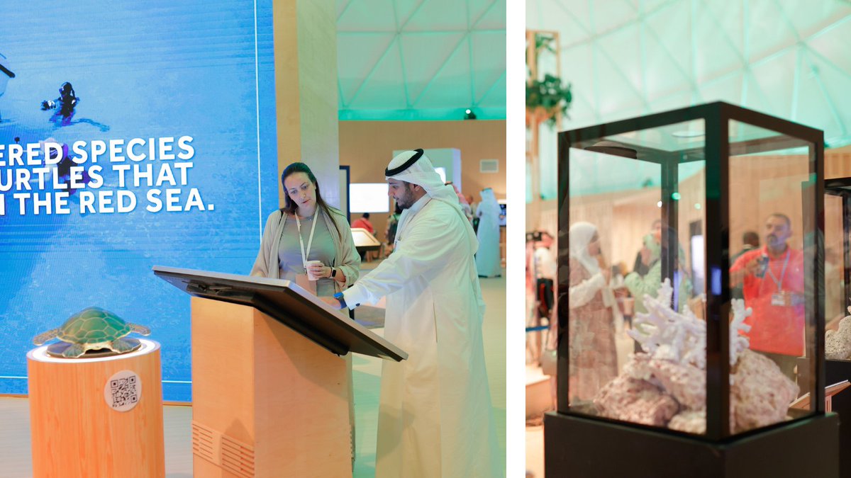 RichardAttiasAs's tweet photo. Preserving #biodiversity is one of the greatest gifts we can give to future generations. At the #SGI gallery, on the sidelines of #COP27 and produced by RA&A, the Ba'a Foundation brought awareness to their vital turtle #conservation and coral reef initiatives. #WeNeedToLead https://t.co/Oqi4BVcEG9
