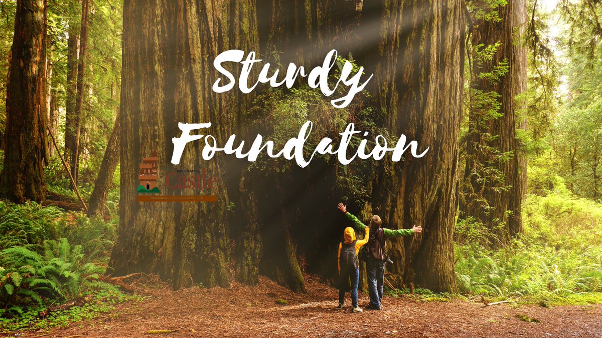 insureproperty's tweet image. Similar to a successful real estate business, the Redwood reaches epic heights because it is firmly planted. 

Grow deeper roots with your properties &amp;gt;&amp;gt; insurancebycastle.com

#californiainsuranceagent #LandlordInsurance #landlordadvice #landlord #CaliforniaLandlords