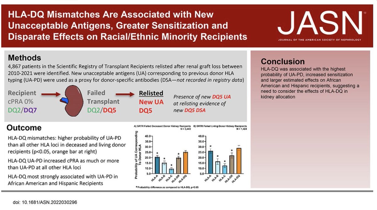 Donor-recipient HLA matching correlates with long-term transplant survival. Historically, donor-recipient pairs mismatch has focused on three major HLA loci: A, B and DR (most polymorphic). Recent paper <a href="/JASN_News/">JASN_News</a> indicates more attention to DQ mismatches, esp in minorities