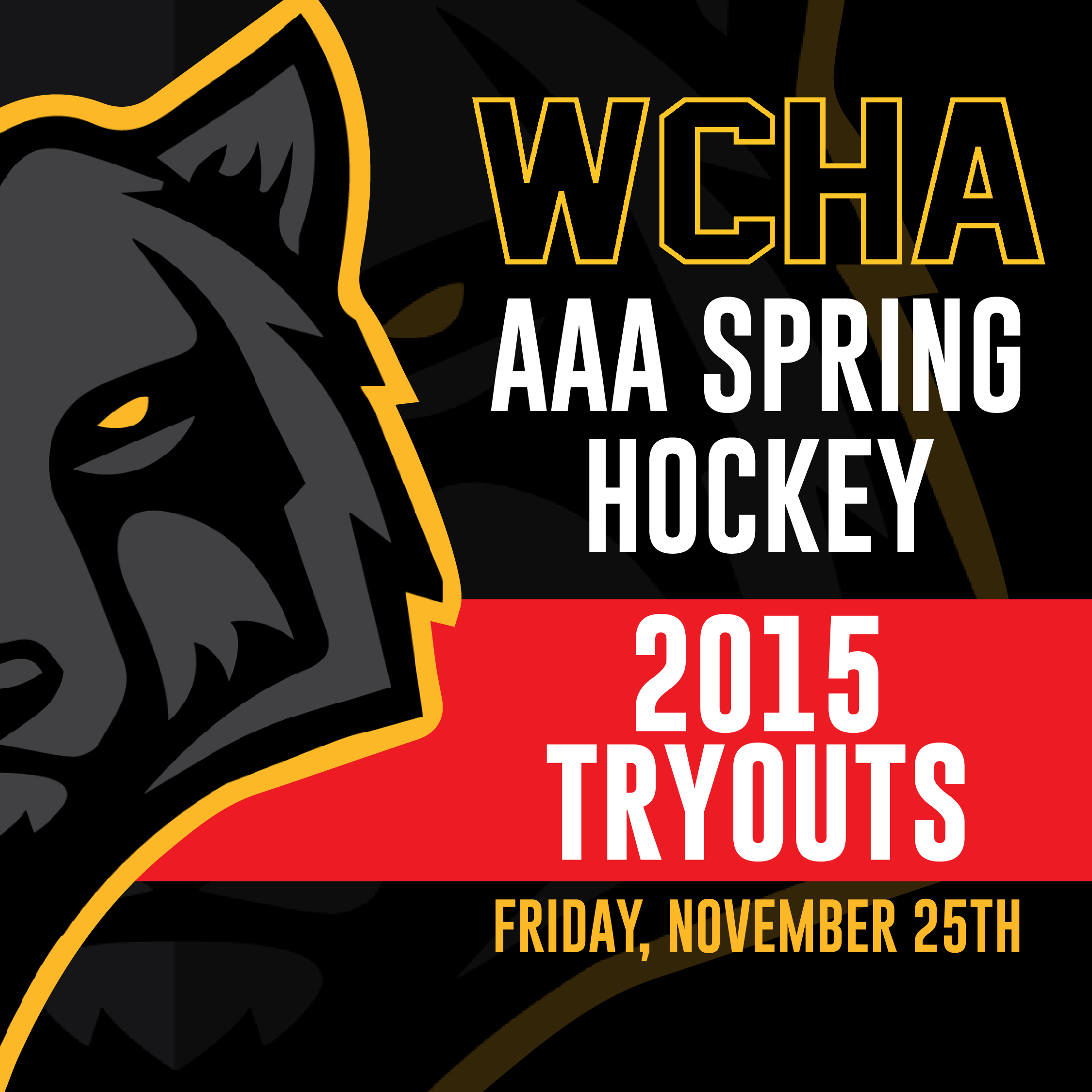 Wcha Hockey Tournament 2024 Results Opal Tracee