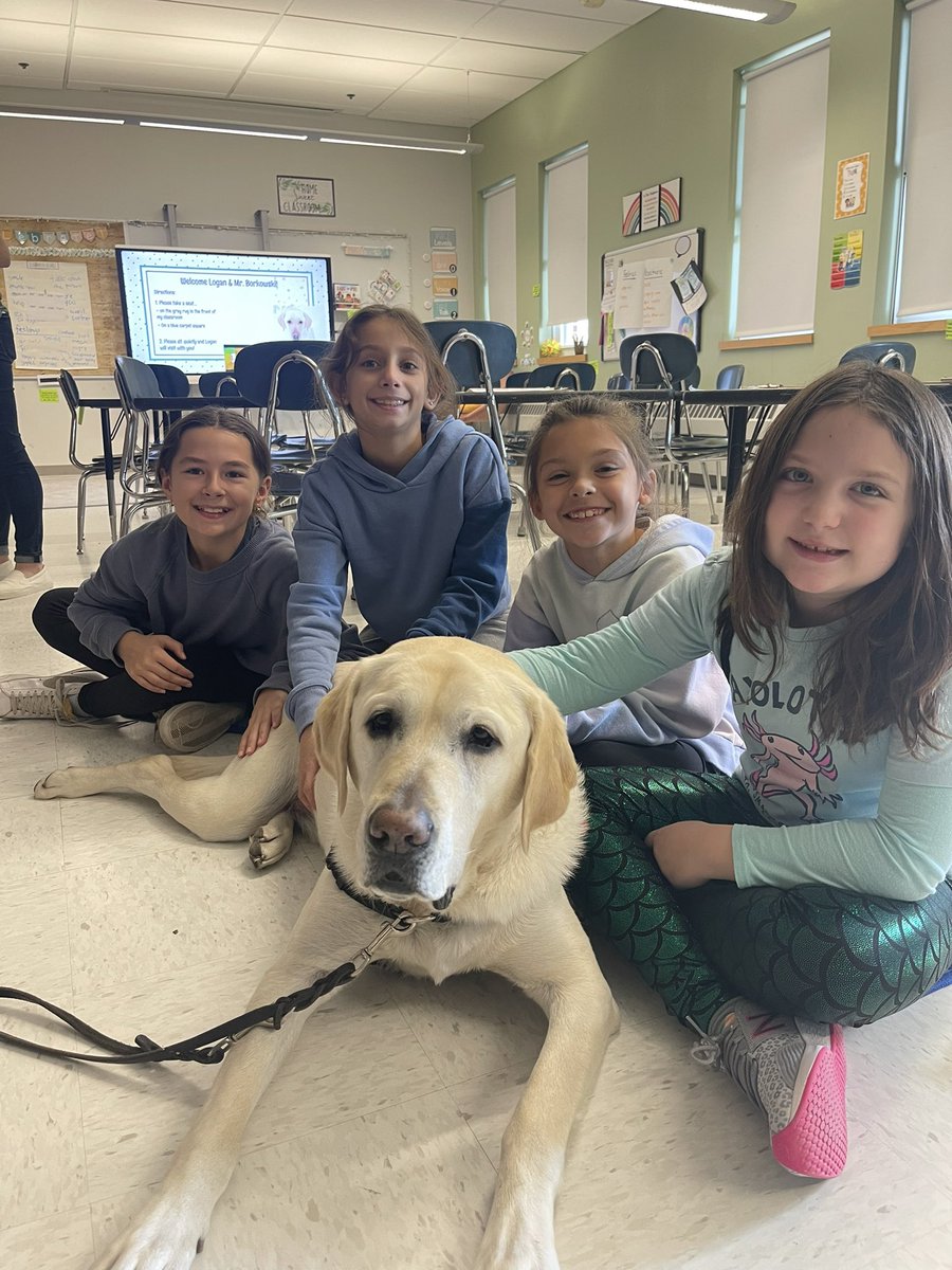 Mrs Sheehan tweet media