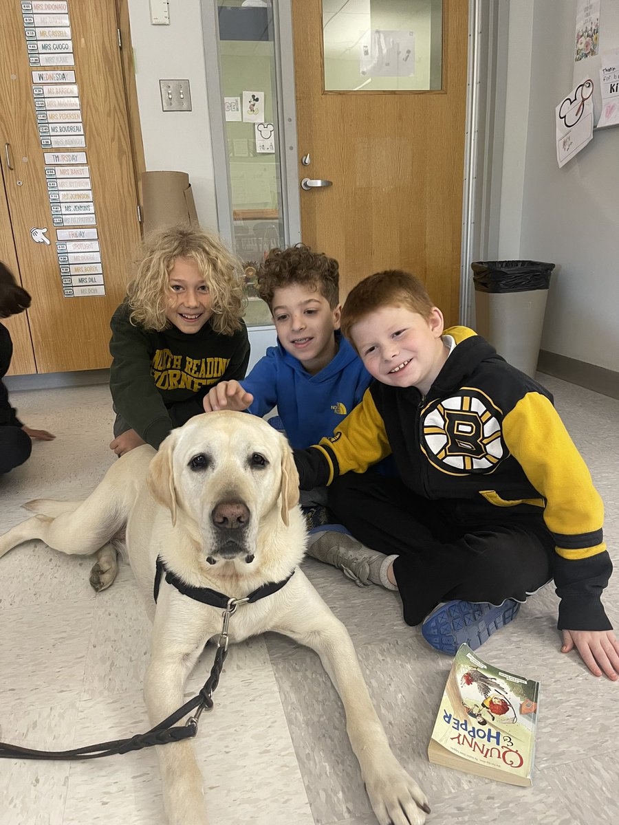 Mrs Sheehan tweet media