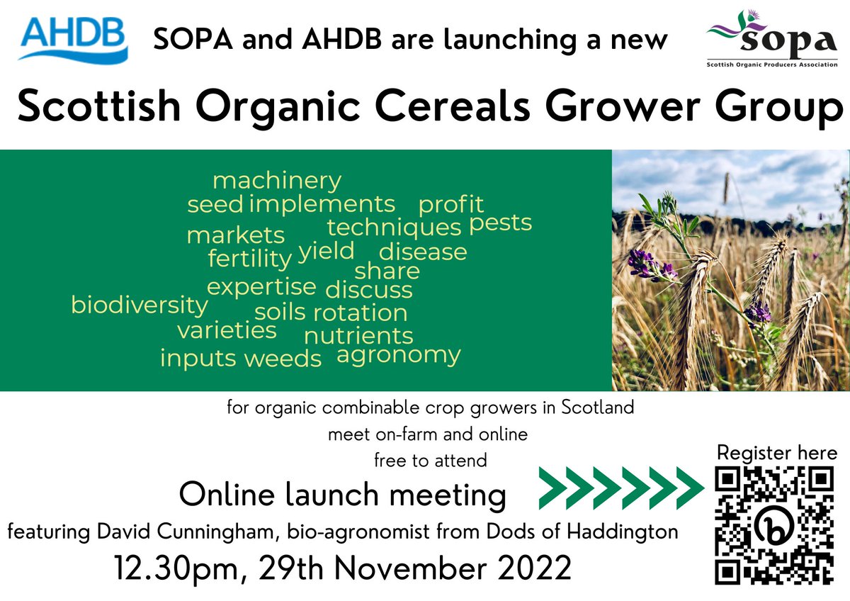 ScottishOrganic tweet media