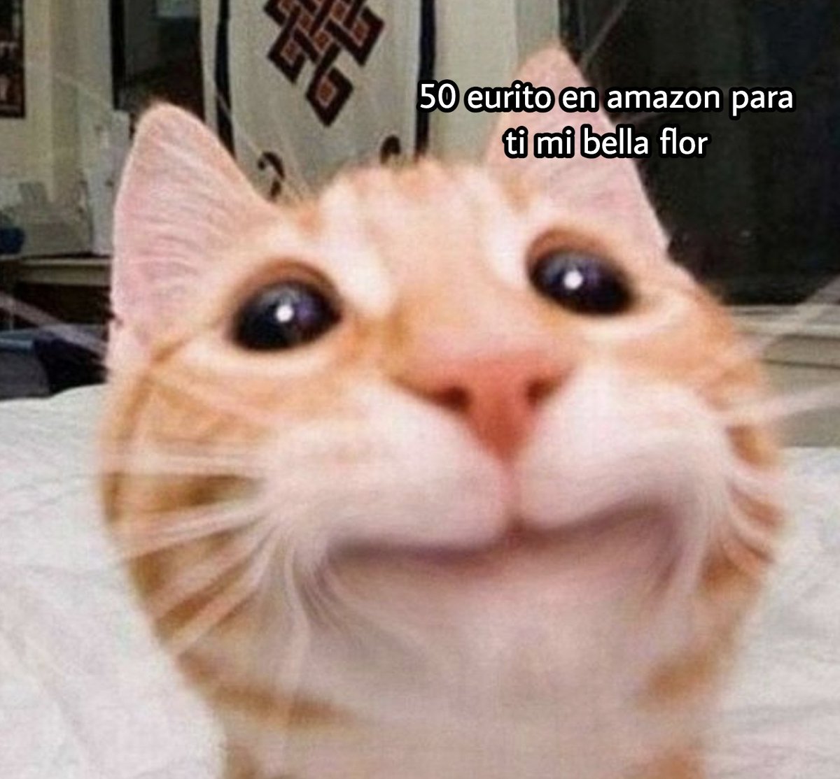 ✨SORTEO✨

si llegamos a 40K de seguidores antes del lunes, sorteo un cheque de 50€ en amazon entre todos los que 

- sigan a @wuolah 
- hagan rt a este tweet

si twitter no muere digo ganador el día 25 🫶