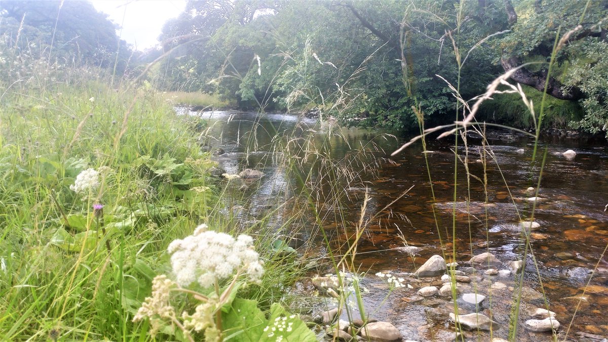 Jonathan Grey tweet media