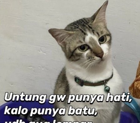 “kak” Kaesang tweet media