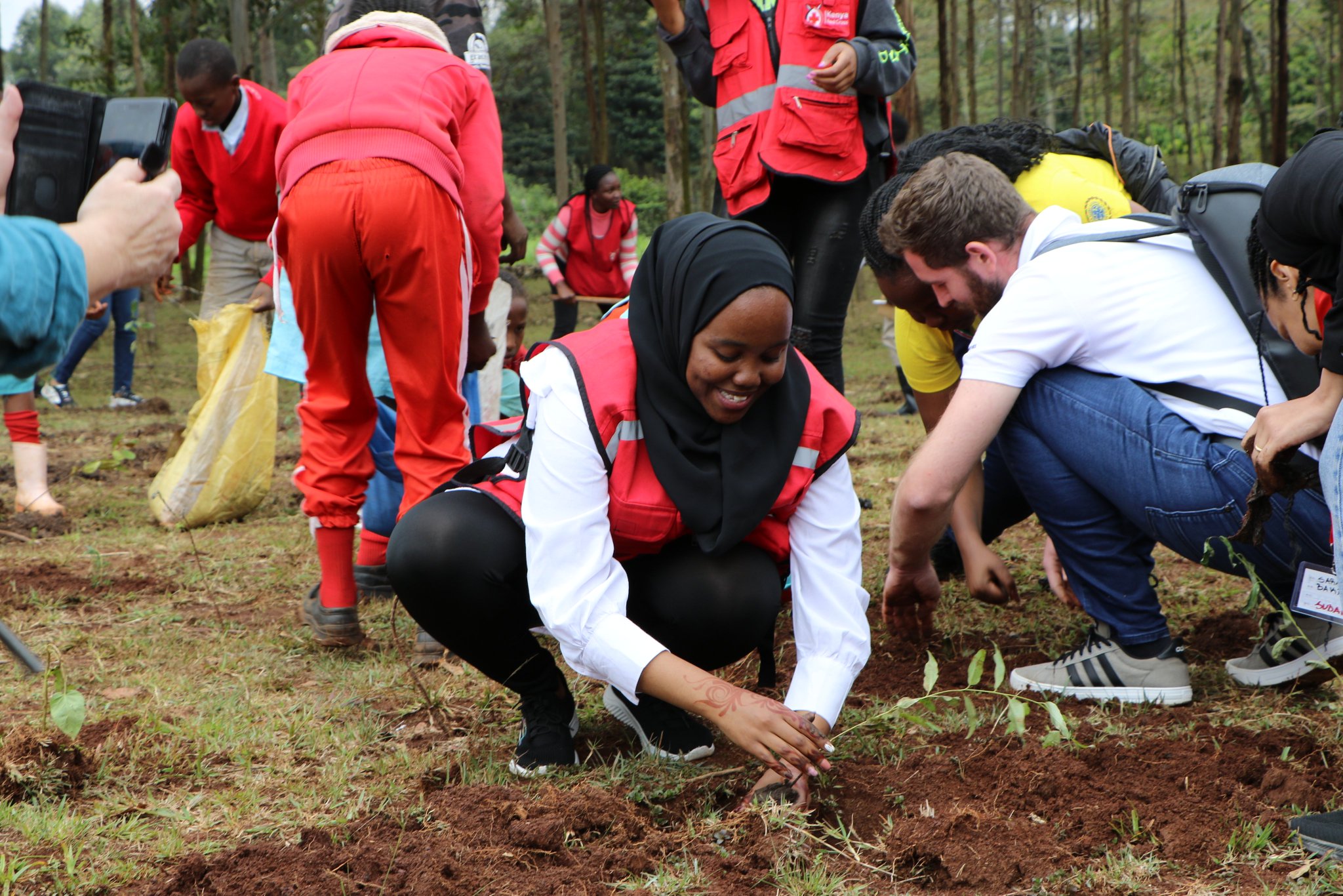 Kenya Redcross Nairobi Branch on Twitter "1200 tree seedlings were