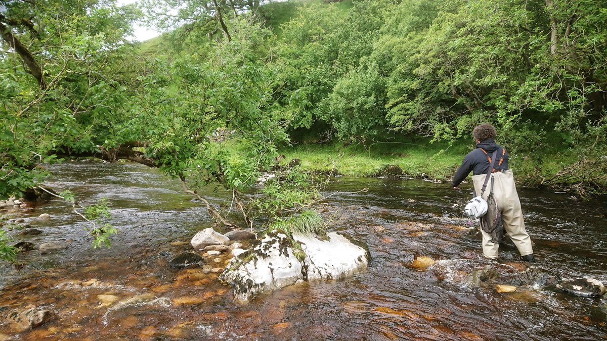 Jonathan Grey tweet media