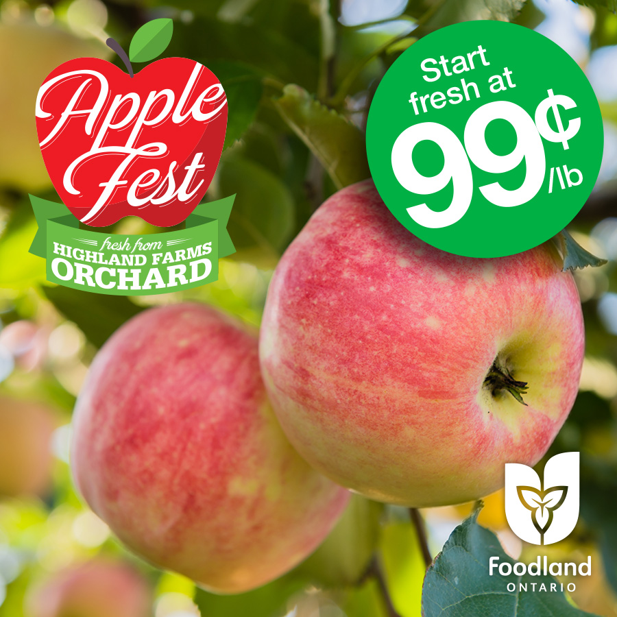At our very own Highland Farms Orchards, we grow some of Ontario’s most well-enjoyed varieties. 

It’s Apple Fest at Highland Farms and we’re celebrating this year’s harvest with great prices on all our apples freshly picked from our orchards!

#shoplocal #applefest