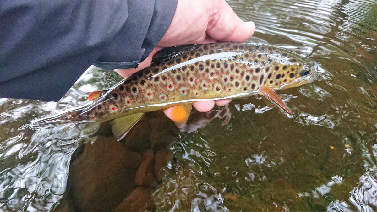 Jonathan Grey tweet media