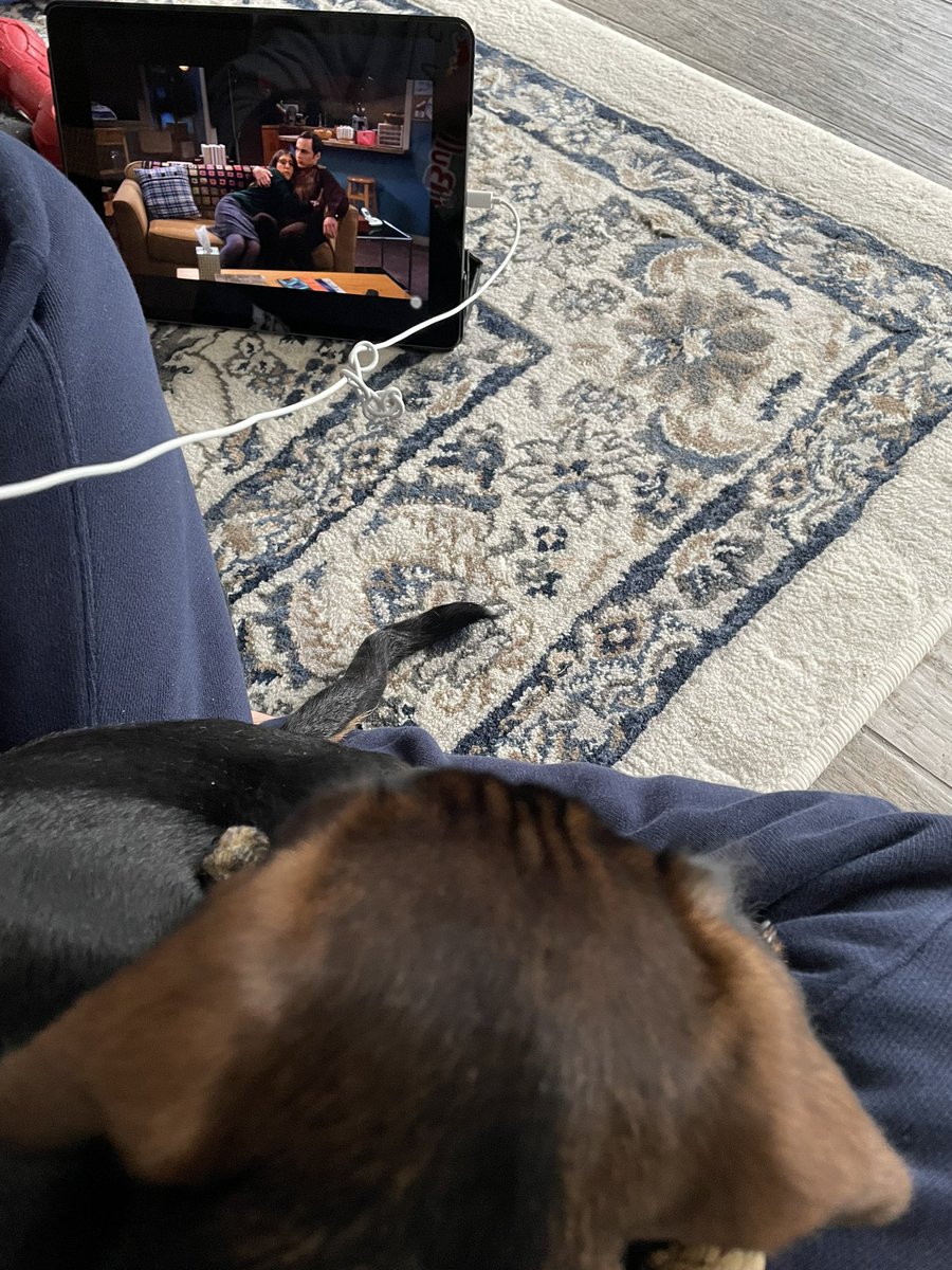 Pia 🦕 || kiitos kimi 🇫🇮 tweet media