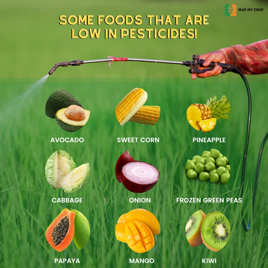 mapmycrop's tweet photo. Foods that are low in Pesticides!
#factsoftheday #agriculture #factfindingfriday #friday #farmingfacts #facts #cropmonitoring #agriculturefacts #usafarming #plantscience https://t.co/dQouZM61Px