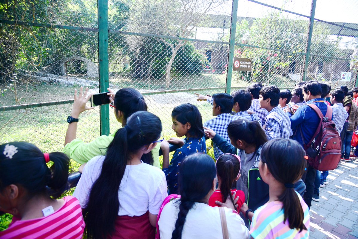 rscpcr's tweet image. बाल सप्ताह अंतरगत आज नाहरगढ़ जैविक उद्यान में बाल गृह के बच्चों को भ्रमण करवाया..
आयोग अध्यक्ष श्रीमती संगीता बेनीवाल द्वारा कार्यालय से हरी झंडी दिखाकर बसों को रवाना किया।
@RajCMO
@SangeetaBeniwa3 
@SangeetaGarg_ 
@shiv_naga 
@nusratajm