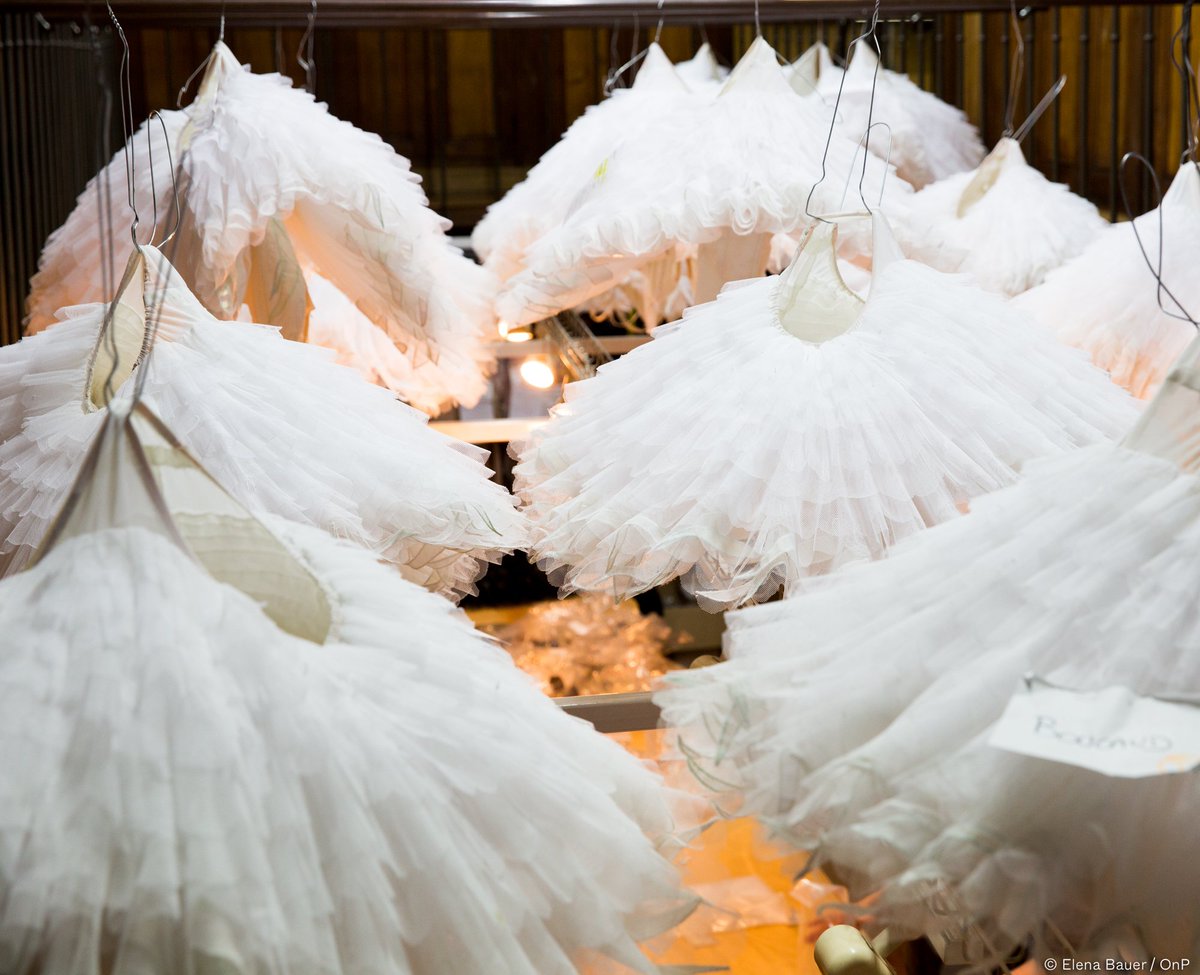 白鳥キャスト確認したらユーゴとマチアスが降板のあと誰がやるかまだ未定だけど、アリュはロットバルトをやるみたい。