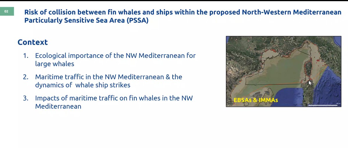 Gov4Nature's tweet photo. And Caterina Fortuna (@ISPRA_Press ) presented all the work done to study the risk of collision between #whales & #ships. Also, she explained the high ecological importance of the @Pelagos_ being a #SPAMI, #EBSA + #IMMA area, focused on #mammals ecosystems. https://t.co/Y6MbAS2D3x