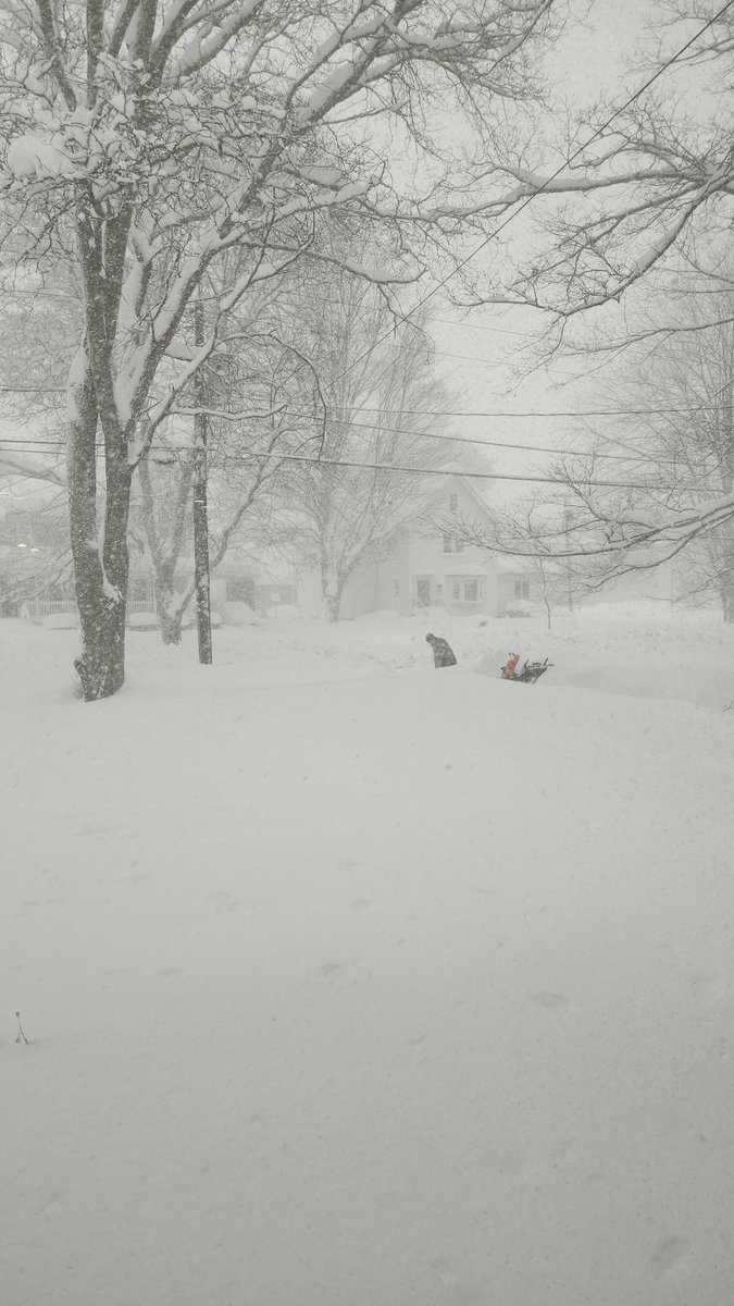 LynnEngle29's tweet photo. @CarlHLam @WGRZ Wind is kicking up.  Snow has not let up! https://t.co/C6CZdEHED8
