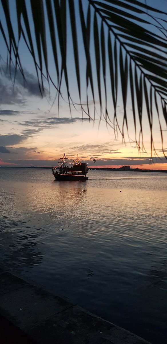 NewEnergyMaster's tweet image. Where are you? Here
What time is it? Now
What are you? This moment.