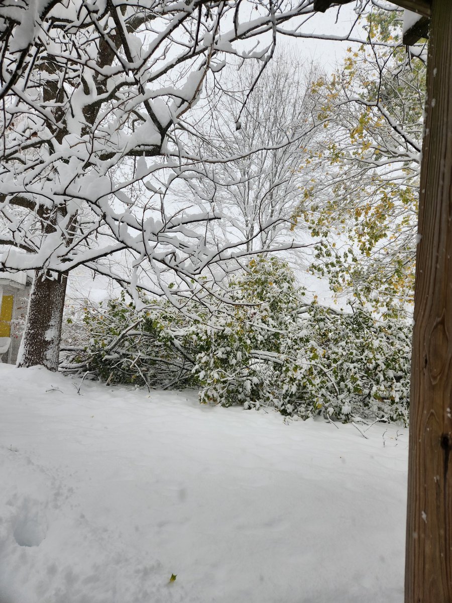 LynnEngle29's tweet photo. @CarlHLam @WGRZ Leaved tree down in the  backyard. Took out the fence https://t.co/hdrtSscgzw
