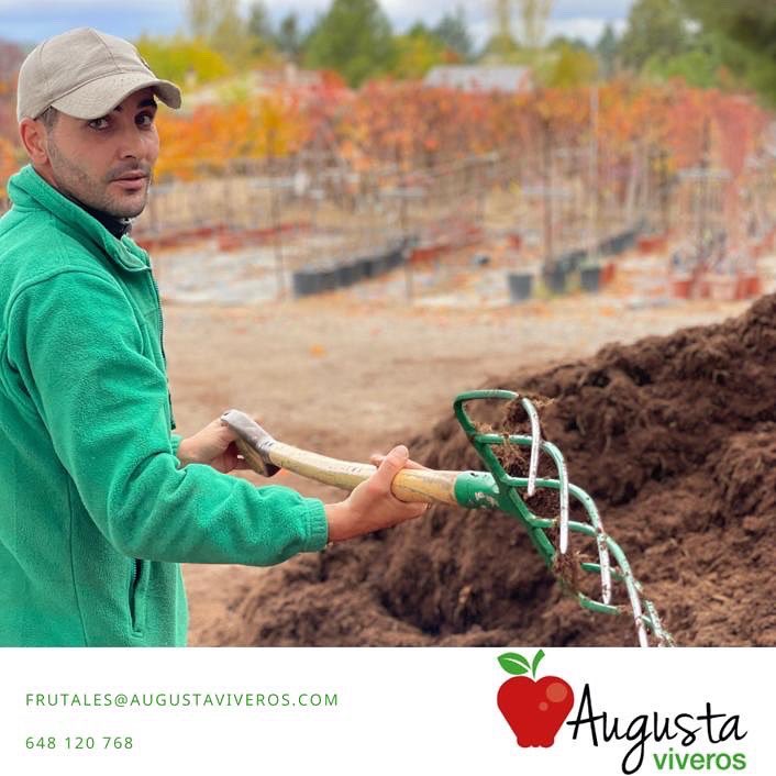 augustaviveros's tweet photo. En #AugustaViveros estamos inmersos en plena #campaña de #frutales en #bolsa y #maceta. 

Un trabajo que realizamos con mucho cuidado y dedicación 

📲 976 885 198 
📧 frutales@augustaviveros.com 

#temporada #frutatemporada #agriculture #agricultura #agriculturafamiliar https://t.co/GBULddSNge
