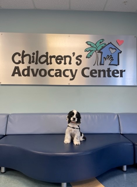 CAC of SWFL tweet media