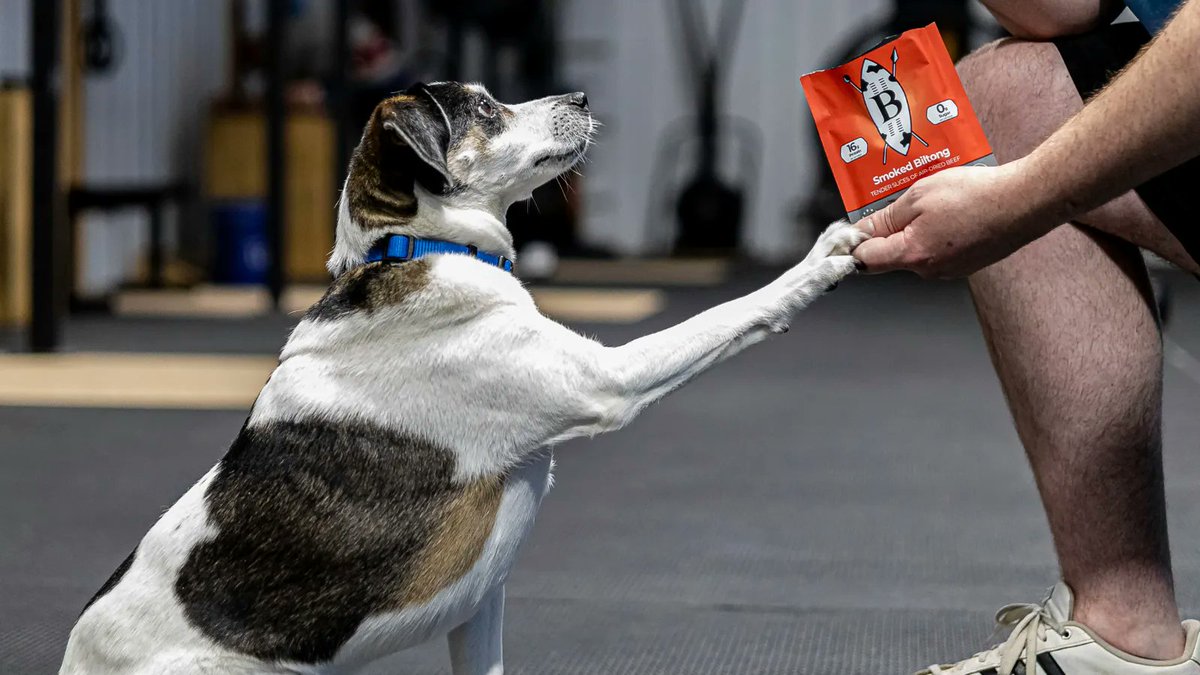 Boikey's tweet media