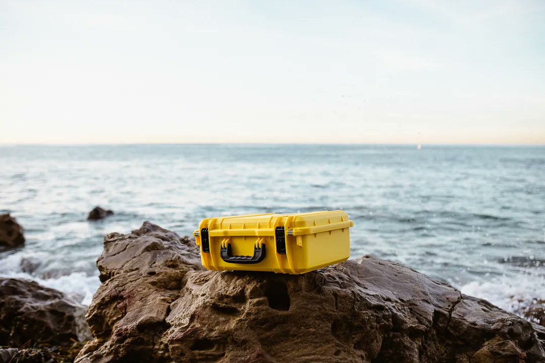 Evergreen tweet media